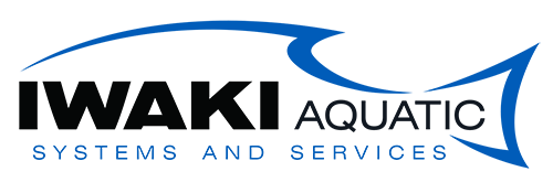 Iwaki Aquatic Logo