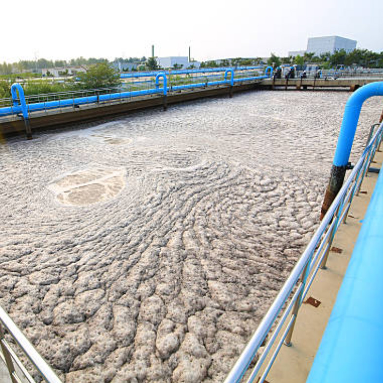 Pumps for Sewage Treatment Plant